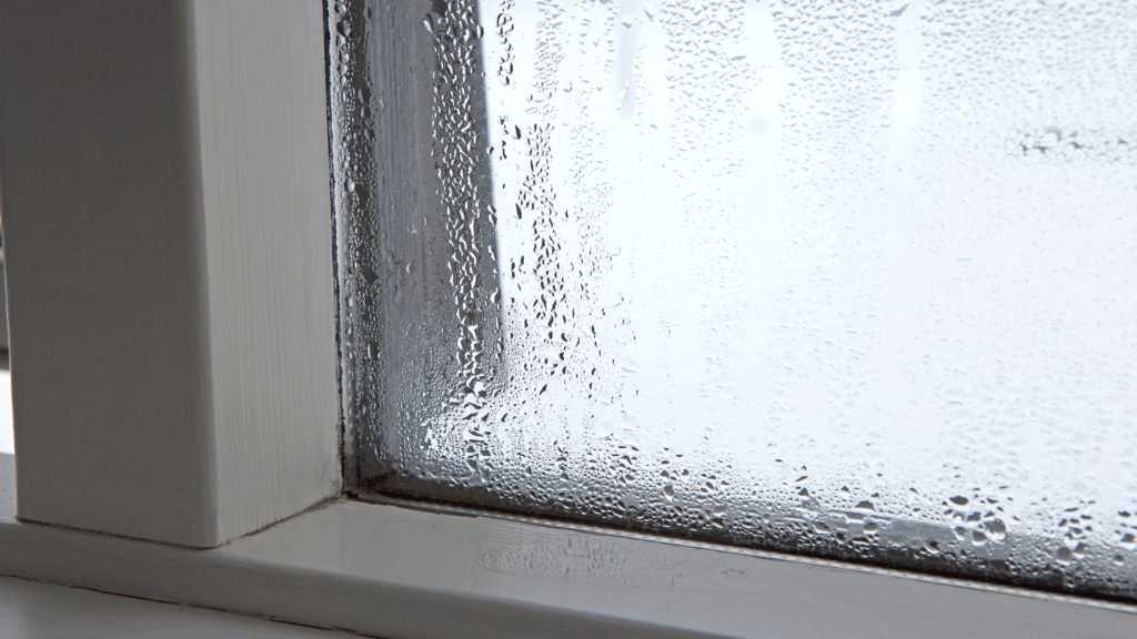 3 Ways To Naturally Reduce Humidity in Your Home