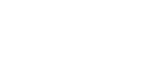 Snyder logo