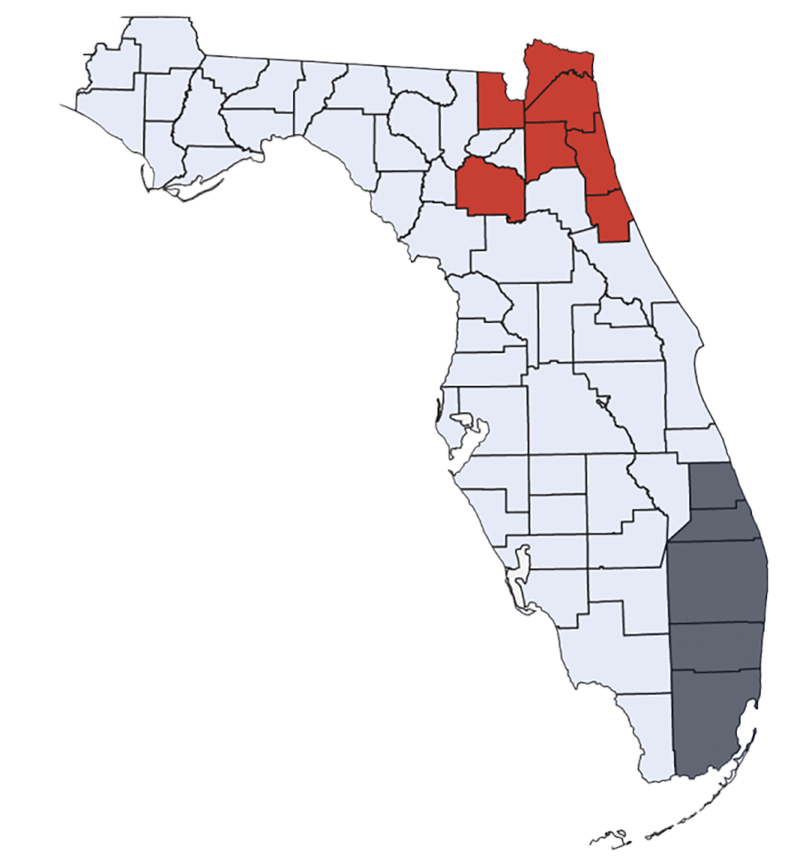 North Florida - Snyder map